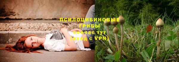 метадон Арсеньев