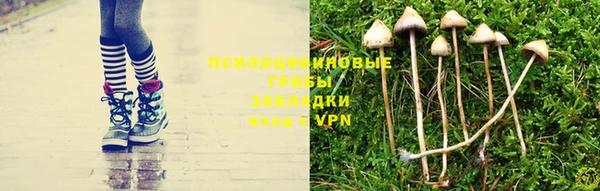 метадон Арсеньев