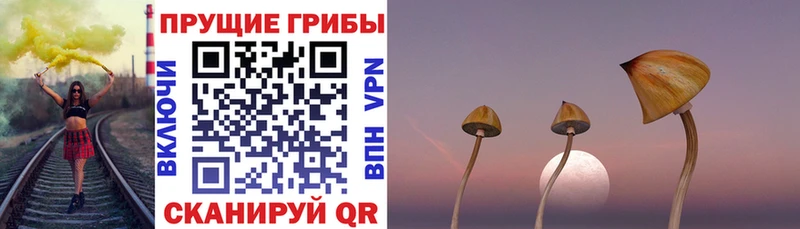 Галлюциногенные грибы ЛСД  Рассказово 
